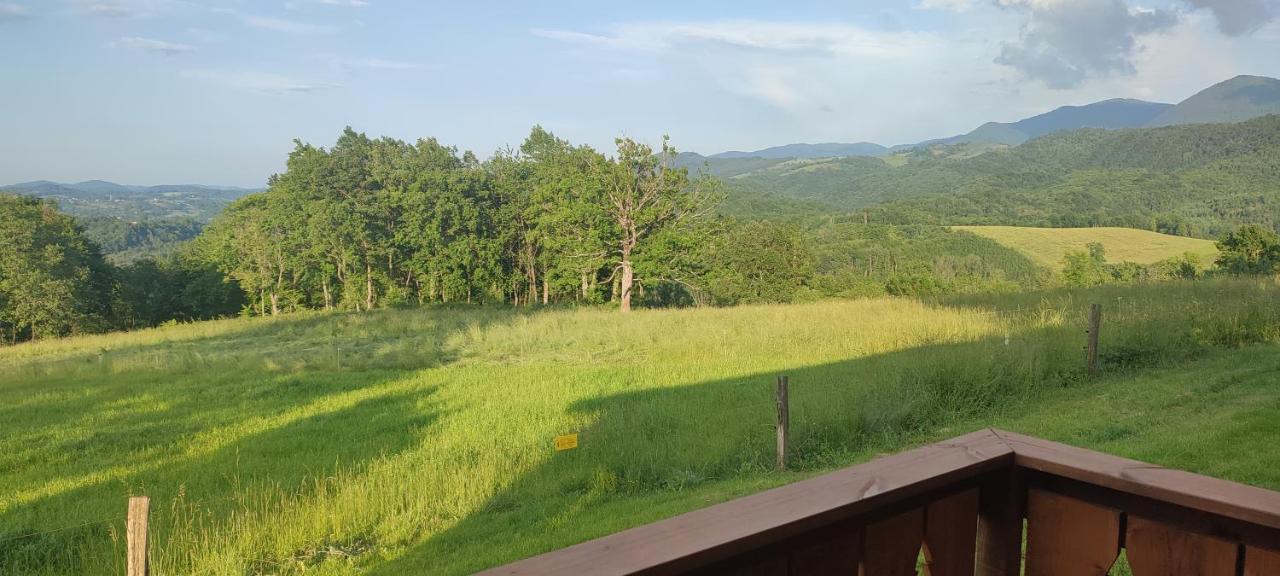 Domaine Le Lanis "Cabane De Pauline" 圣吉隆 外观 照片