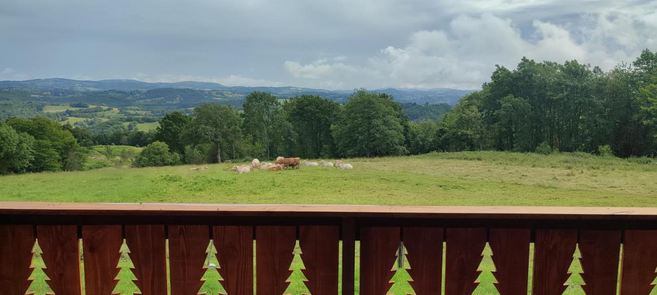 Domaine Le Lanis "Cabane De Pauline" 圣吉隆 外观 照片