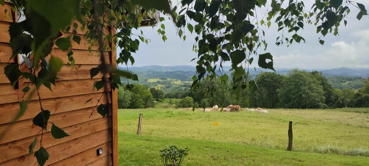 Domaine Le Lanis "Cabane De Pauline" 圣吉隆 外观 照片