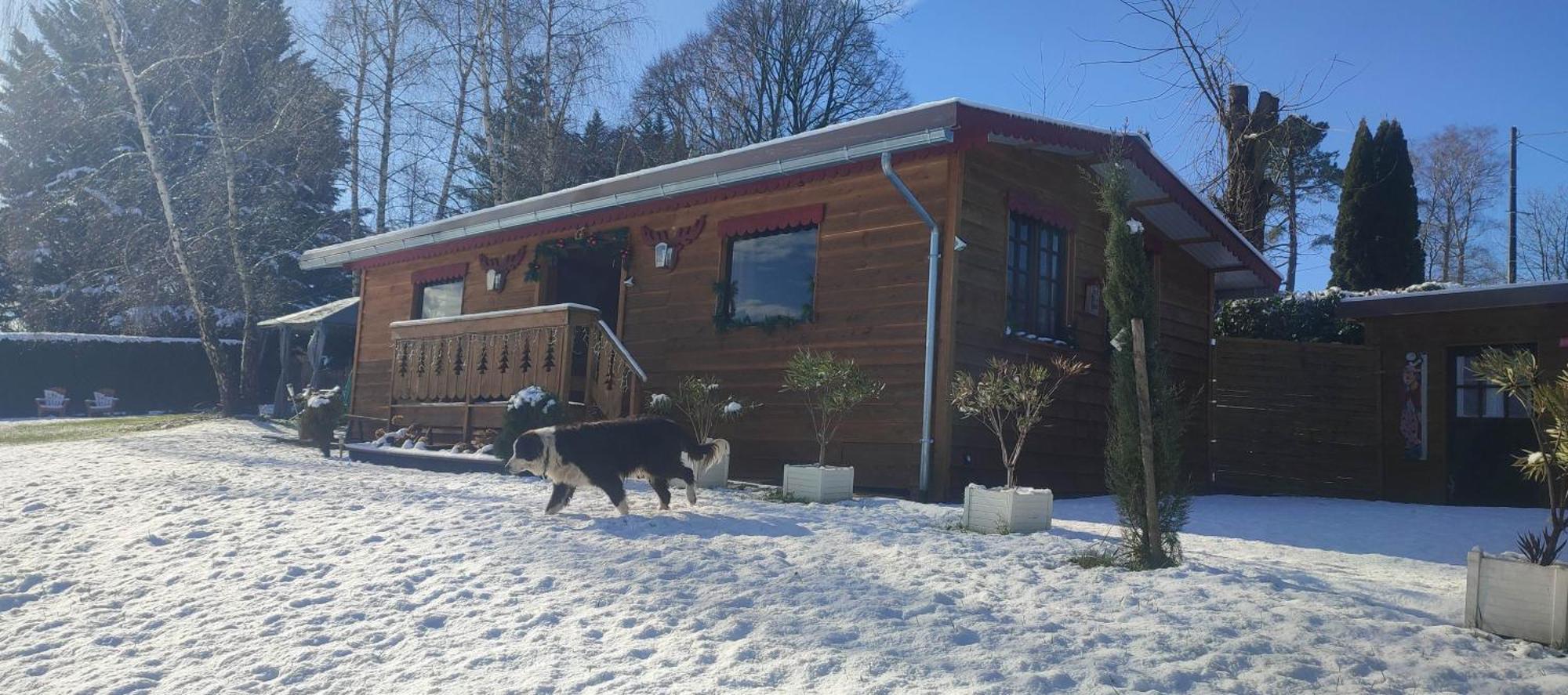 Domaine Le Lanis "Cabane De Pauline" 圣吉隆 外观 照片